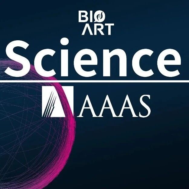 Science | 细胞应激适应的保守翻译调控机制——rRNA 扩张段介导无活性动物核糖体寡聚化
