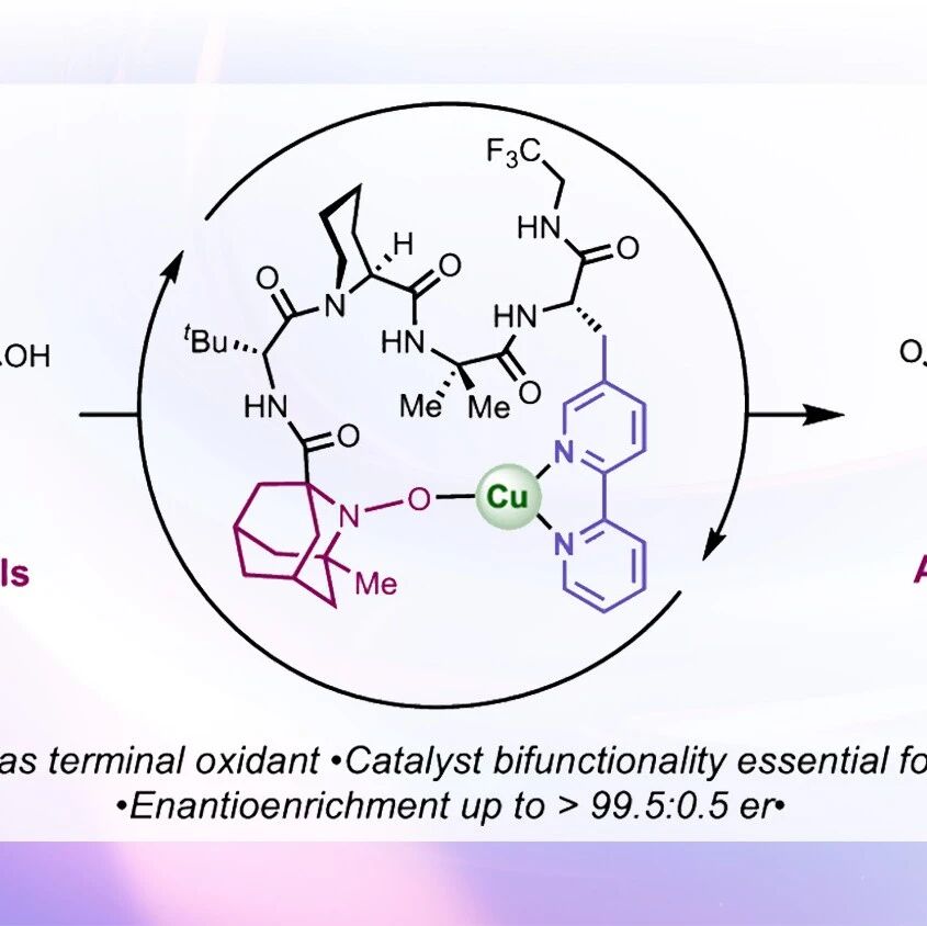 【JACS】耶鲁大学：一种用于联芳基二醇阻转选择性铜催化有氧氧化的双功能氮氧自由基-联吡啶肽催化剂