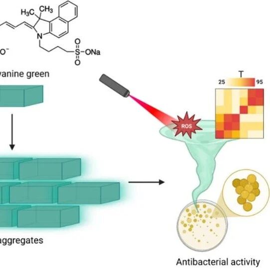 Nano Lett：利用低共熔溶剂中的超分子J聚集体实现可调的近红外光热和光动力治疗