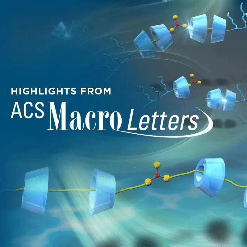 ACS Macro Letters | 北京航空航天大学：凝胶中玻璃态-橡胶态转变诱导的溶胀几何形状依赖性