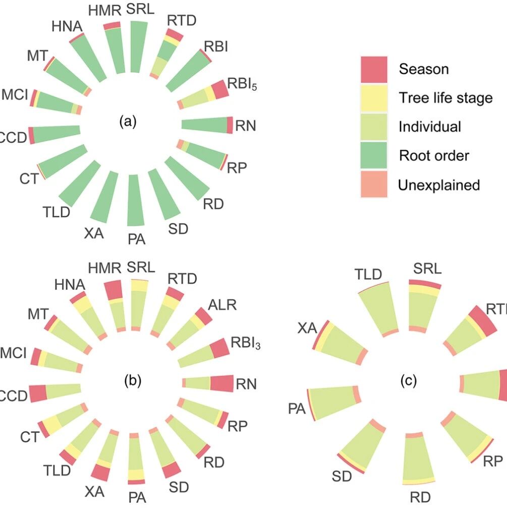 Journal of Ecology | 红松细根的四季变化：从经济学、菌根到水力策略的季节波动
