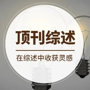 青岛大学杜中林/浙师大王靳Chem. Soc. Rev.: 铟基胶体量子点的光催化应用