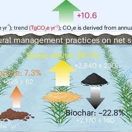 Nature Food  | 过去六十年来全球水稻田的温室气体排放量已翻番