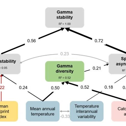 北京大学王少鹏团队在Nature Communications发文揭示生物多样性与生境复杂性对人类活动影响鱼类群落稳定性的缓冲作用