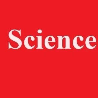 清华/中科大/南科大《Science》：镍基高温超导机理研究中取得关键突破！