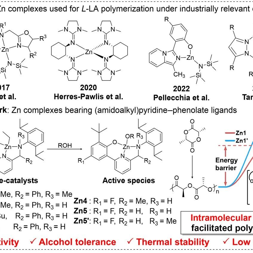天津大学王彬教授 ACS Catal.：环酯开环聚合锌系催化剂新突破 - 氢键介导的链末端分子内活化策略