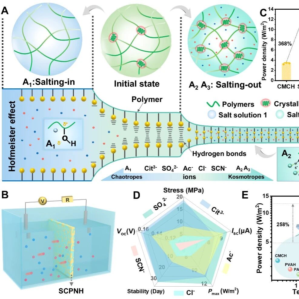 华南理工大学祁海松教授团队 AFM：离子特异性工程调控水凝胶纳米孔道实现高性能渗透能转换