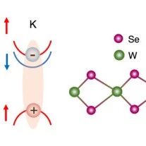 Nano Lett. | 杜兰大学：探究WSe₂ 暗激子的近零极化特性