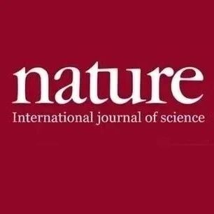 Nature！全新揭示！固态电解质迎来全新设计理念！