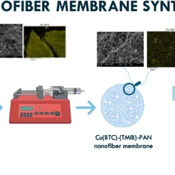 文献速递|西班牙CINTECX. 维戈大学WR:Cu(BTC)-(TMIB)-PAN 膜作为病原体消毒和药物降解的创新方法：流动系统中的活性研究