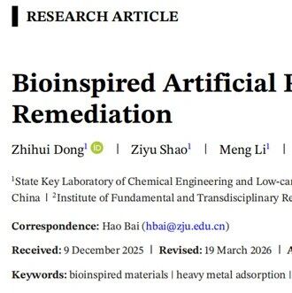 蒸发材料0529丨浙江大学AM论文丨基于生物启发原理的人工植物用于深层土壤重金属修复