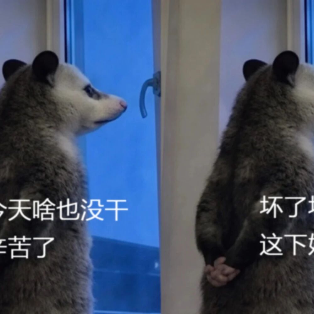 一只窗前背手的“老鼠”，怎么就火成表情包了？