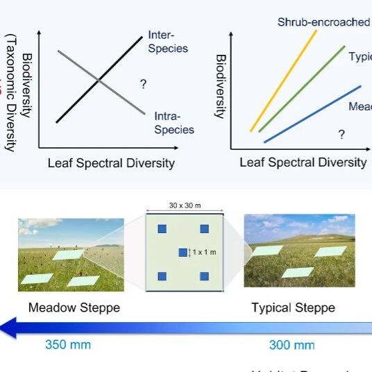 Remote Sensing of Environment  |植物所白永飞研究团队揭示草地光谱多样性-生物多样性的栖息地依赖性和种内-种间光谱分解的非对称驱动