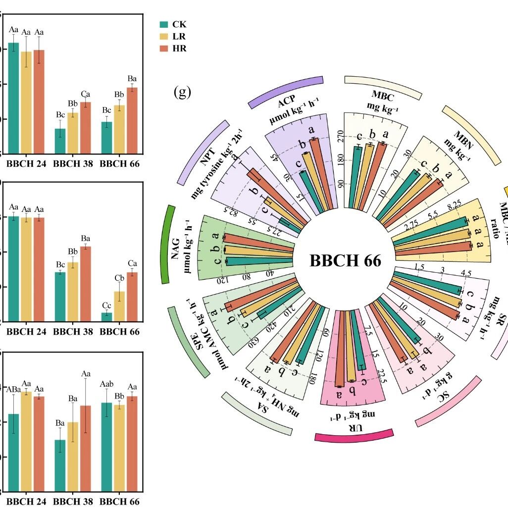 Journal of Environmental Management | 沈阳生态所在维生素C工业发酵副产物提高玉米产量机制的研究中取得进展