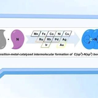 【Chem. Soc. Rev.】南方科技大学舒伟教授团队综述：过渡金属催化分子间反应构建饱和C(sp³)–N(sp³)键