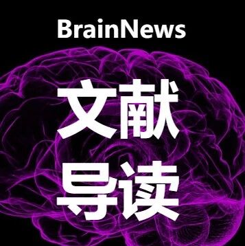 Redox Biol. ：宣武医院赵咏梅/赵海苹团队综述缺血性脑卒中“锌-线粒体轴”研究进展