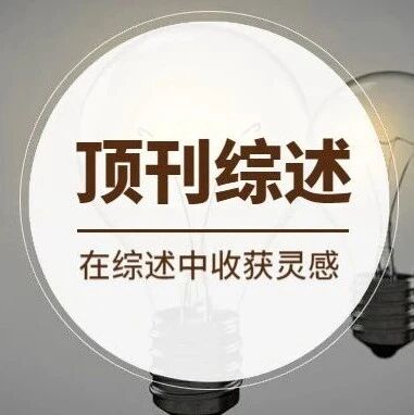 厦门大学王野&成康团队：C₁分子经接力催化选择性转化为C₂₊产物