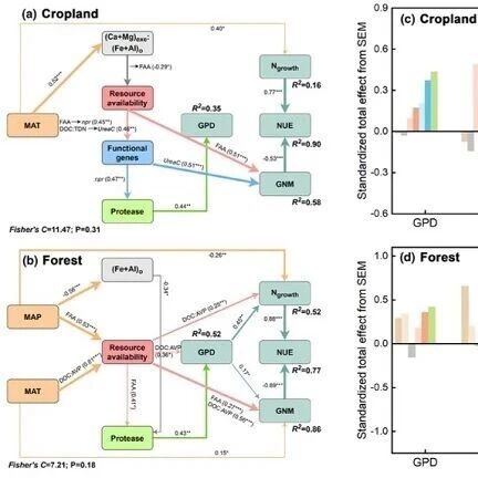 Functional Ecology  | 环江站李德军团队揭示土地利用方式对土壤氮素转化的影响