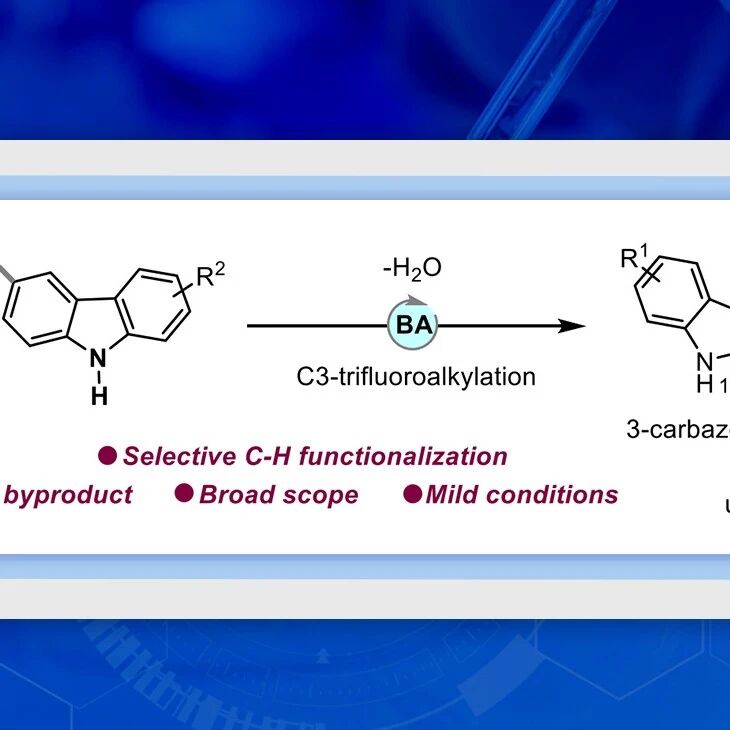 【J. Org. Chem.】 广东药科大学朱文润课题组：布朗斯特酸催化咔唑的C3-三氟烷基化反应