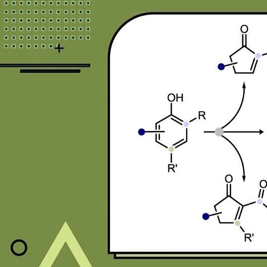 南洋理工大学Grant组JACS：苯酚至环戊烯酮的删碳骨架编辑