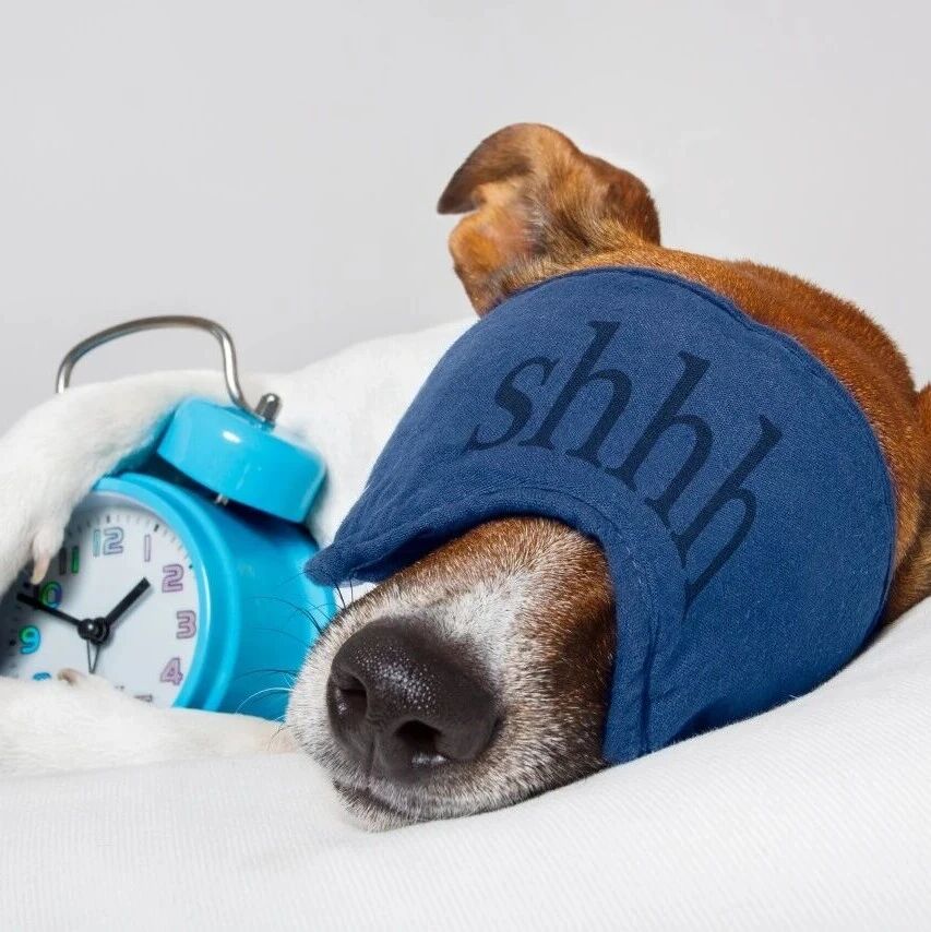 “不要带着坏心情入睡”是有科学依据的！Journal of Sleep Research｜快速眼动睡眠是情绪与睡眠双向拖累的幕后推手