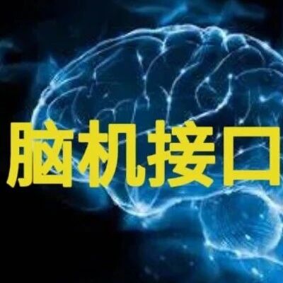 Nat Commun：潘纲/祁玉团队揭示通过大脑表征增强深度网络认知能力