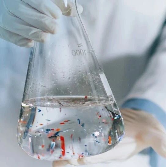 聚焦微塑料科学——Microplastics