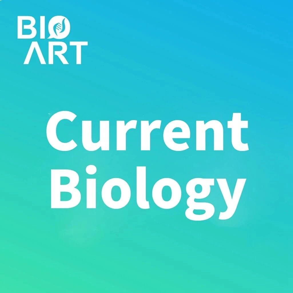 Current Biology｜宋建人/关娜团队揭示敏捷训练提升动作精准性的环路与细胞机制