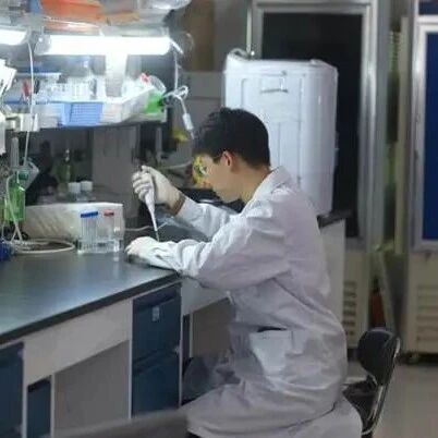中国农业大学领军教授团队、博士生第一作者在一区Top期刊再发文，提出“战士–快递员”双功能植物保护策略