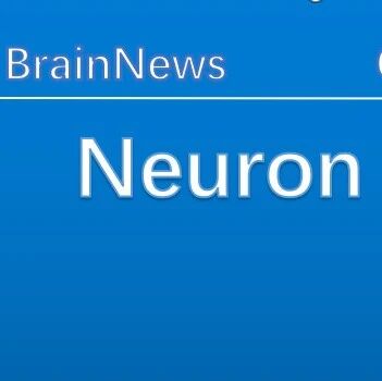 Neuron：大脑与 AI 的统一记忆框架 —— 键值记忆系统