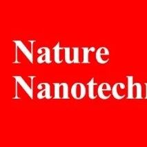 联手「电池大佬」王春生！阿德莱德郭再萍院士/张仕林，重磅Nature Nanotech.！