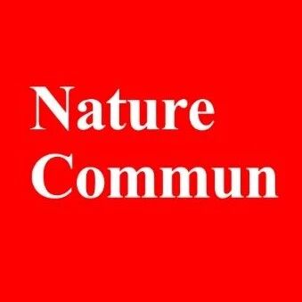 严纯华院士领衔！山大「国家杰青」贾春江/ 南科大杨烽/南开刘锦程Nature子刊丨原子级解密镍催化剂高温稳定性！