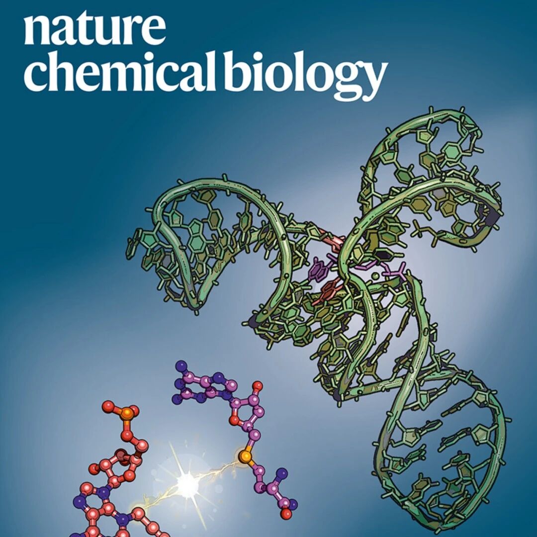 《自然-化学生物学》六月合集：携手推动RNA突破
