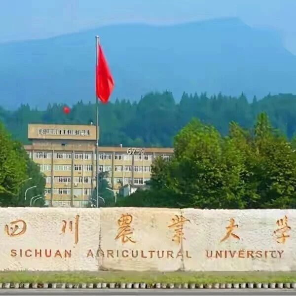 四川农业大学《Nature》背后的故事，一群90后在川农大的“纯粹”生长！