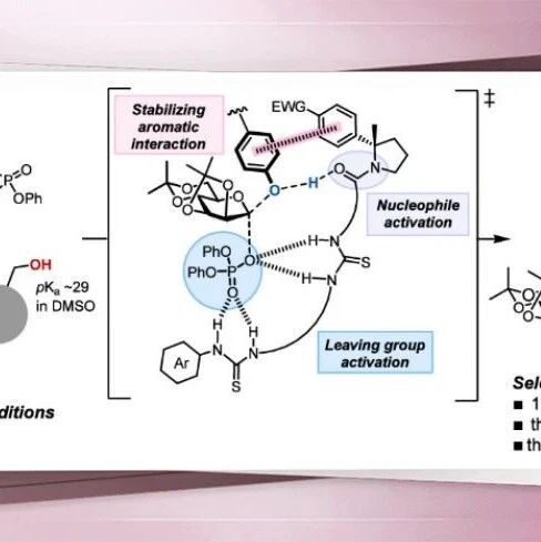 【JACS】哈佛大学Jacobsen利用吸引性非共价相互作用实现催化剂控制的酚类化学选择性β-甘露糖基化