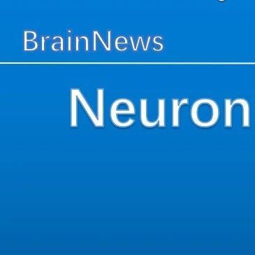 Neuron：王延江/王超团队揭示肝脏靶向表达APOE3Ch可增强Aβ清除能力，减轻阿尔茨海默病脑内病理