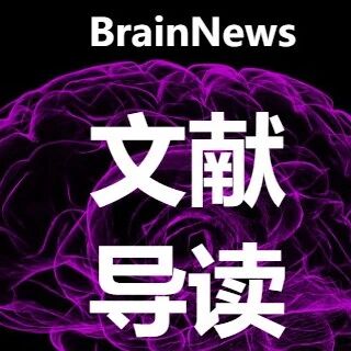 Neurocomputing：从脑电图和脑磁图中解码自然图像
