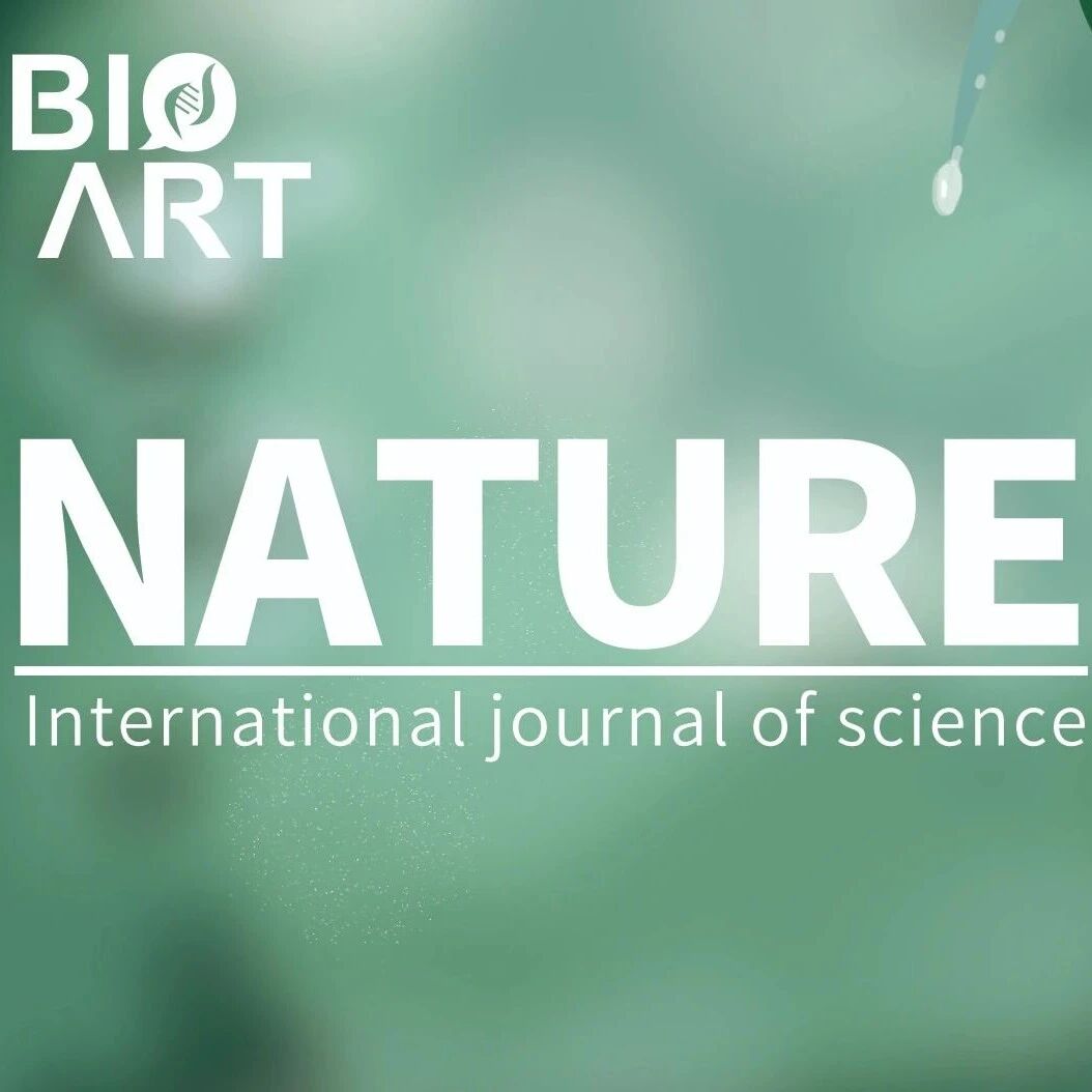 Nature丨甲状腺里的“叛军演义”：B细胞如何通过基因突变逃避监管全过程