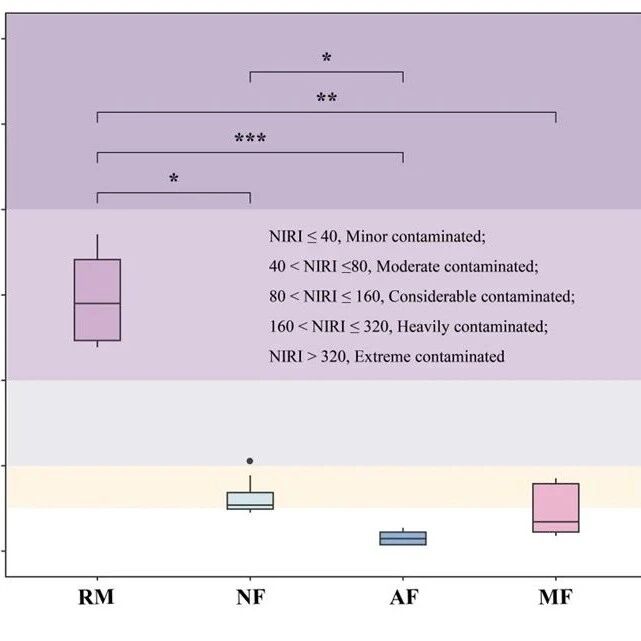橡胶林恢复热带雨林研究取得系列进展：从策略框架到土壤修复机制