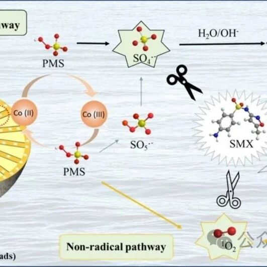 文献速递|英国伯明翰阿斯顿大学SPT:催化微结构陶瓷珠和在 PMS 活性体系中通过 SMX 降解进行的功效评估