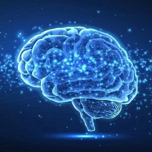 什么是智商？智商是怎么测定的？