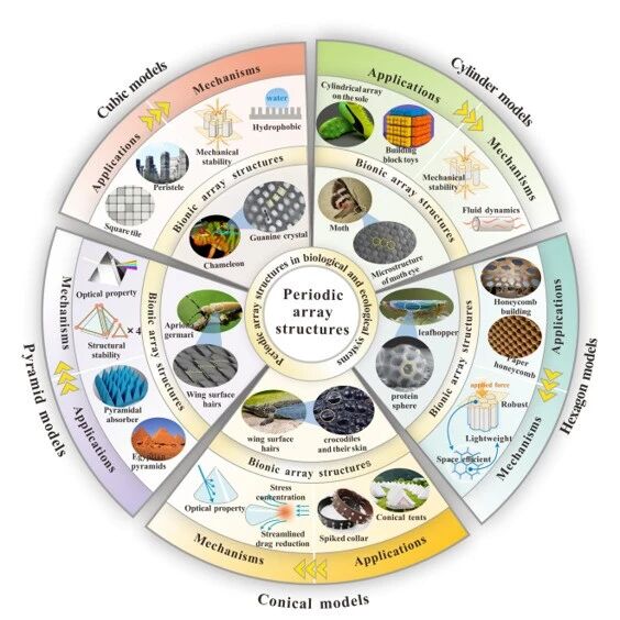 《Composites Part B: Engineering》：基于仿生周期阵列结构的低成本泡沫水泥基电磁超材料