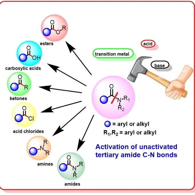 海南大学Advanced Synthesis & Catalysis：惰性酰胺键的活化