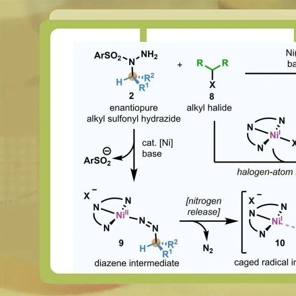 Baran组最新Science：磺酰肼参与立体保持烷基-烷基自由基偶联