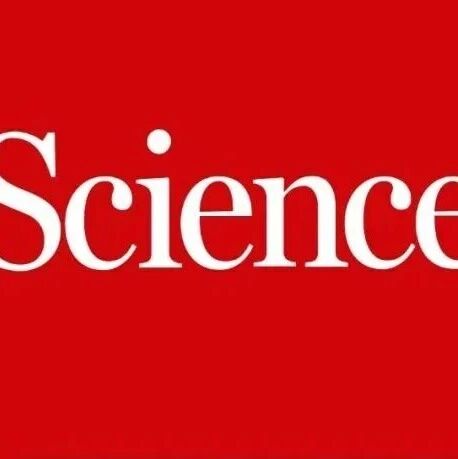 南方医科大学等团队研究熊蜂发了3篇Science+封面文章