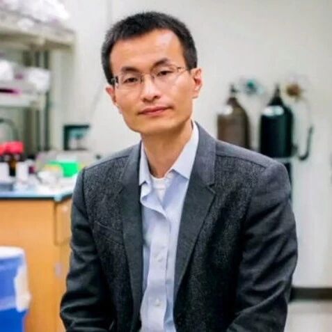 Cu纳米晶演化！「三院院士」杨培东团队，最新JACS！