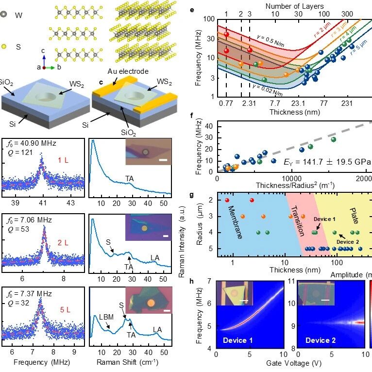 电子科大王曾晖等Science China Information Sciences：二硫化钨纳米机电谐振器