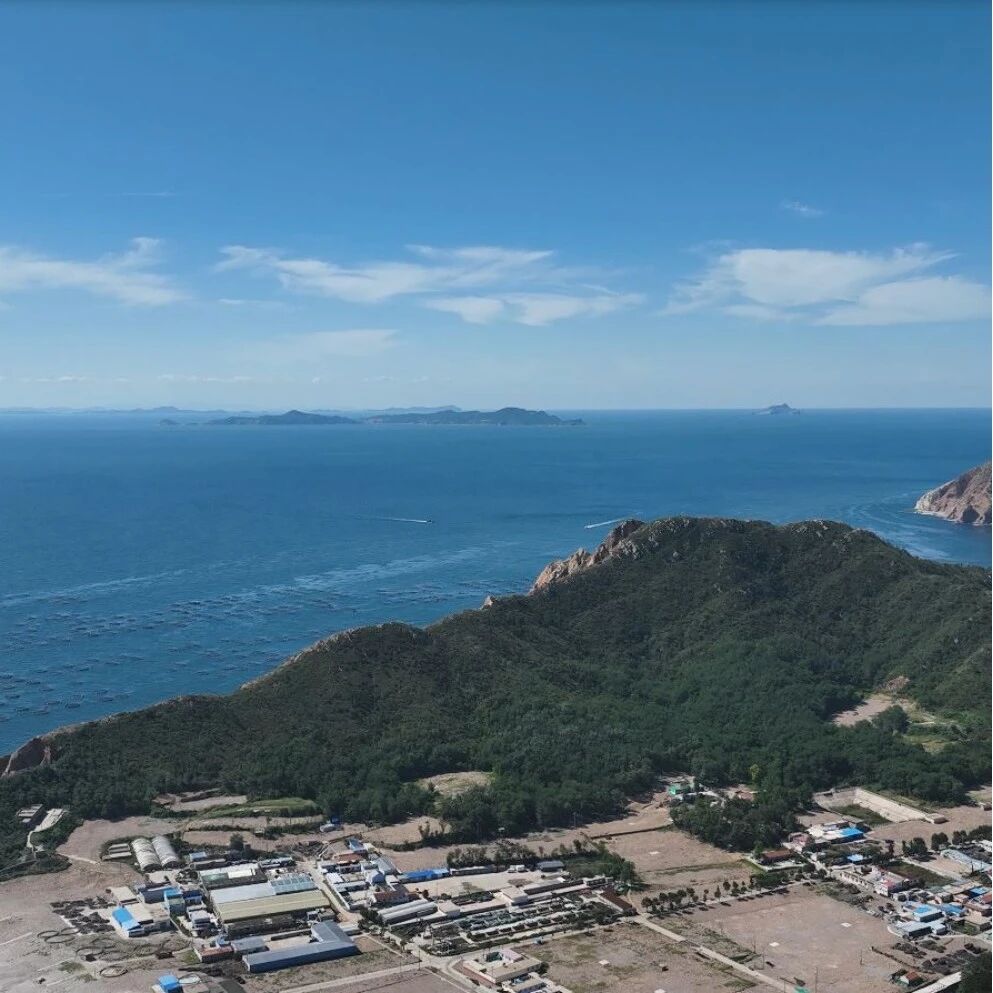新发现 | 山东海岛考古新突破：大钦岛东村遗址发现打制石器及大汶口聚落制玉线索