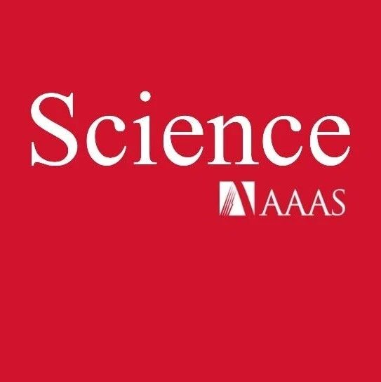 Phil S. Baran，Science+1！