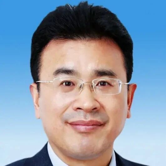 陈军院士领衔！南开大学严振华最新Angew丨表面化学无序稳定富锂锰基正极！